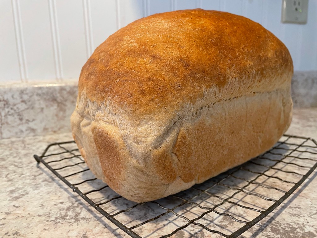 FRESH FROM THE&nbsp;OVEN