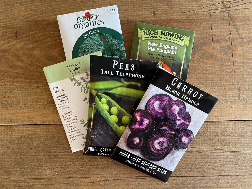 WINTER SNOW AND A GARDEN&nbsp;PLAN