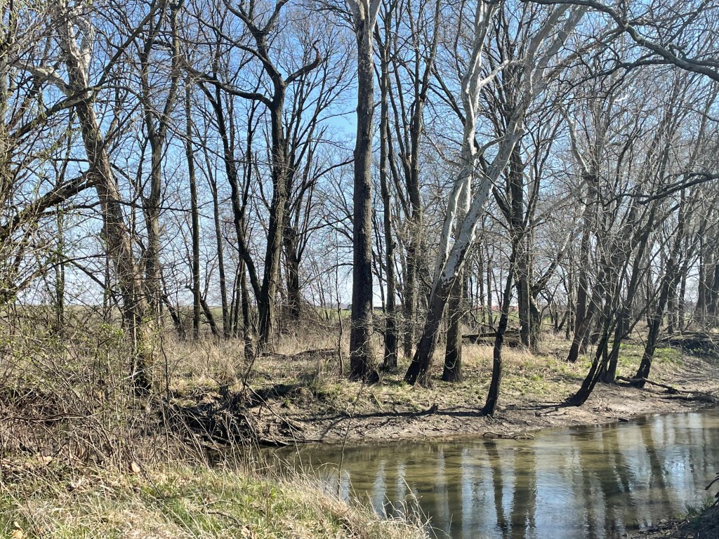 TODAY- March Edition