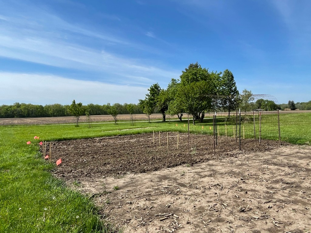 GARDEN UPDATE- early&nbsp;May