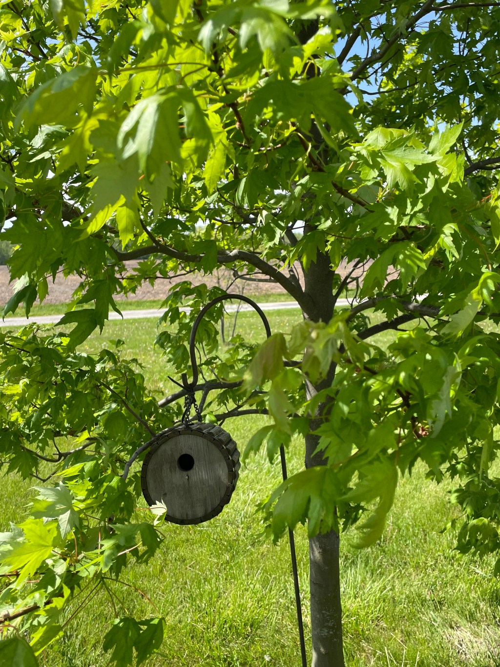 WINDOWS & A&nbsp;WREN