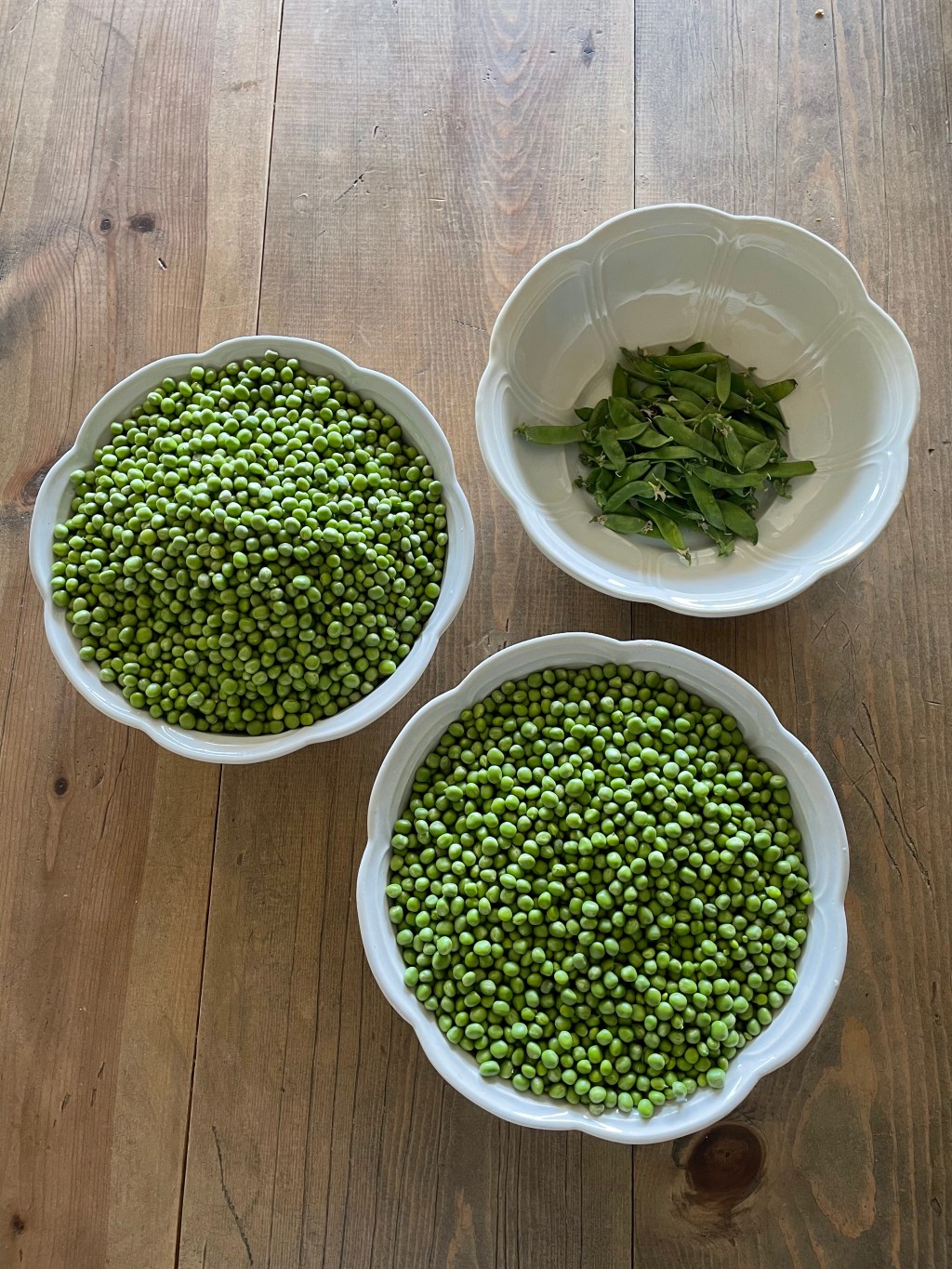 PRESERVING- Shell Peas