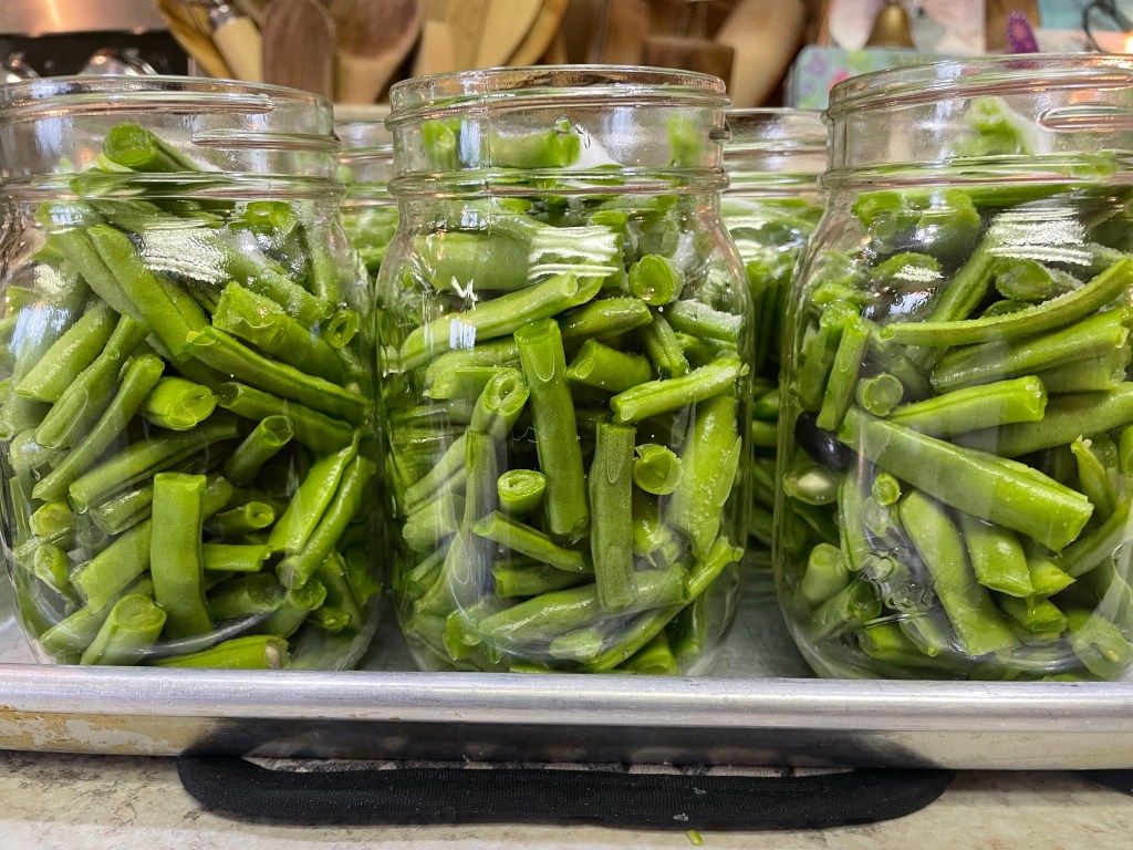 PRESERVING- Zucchini & Green&nbsp;Beans