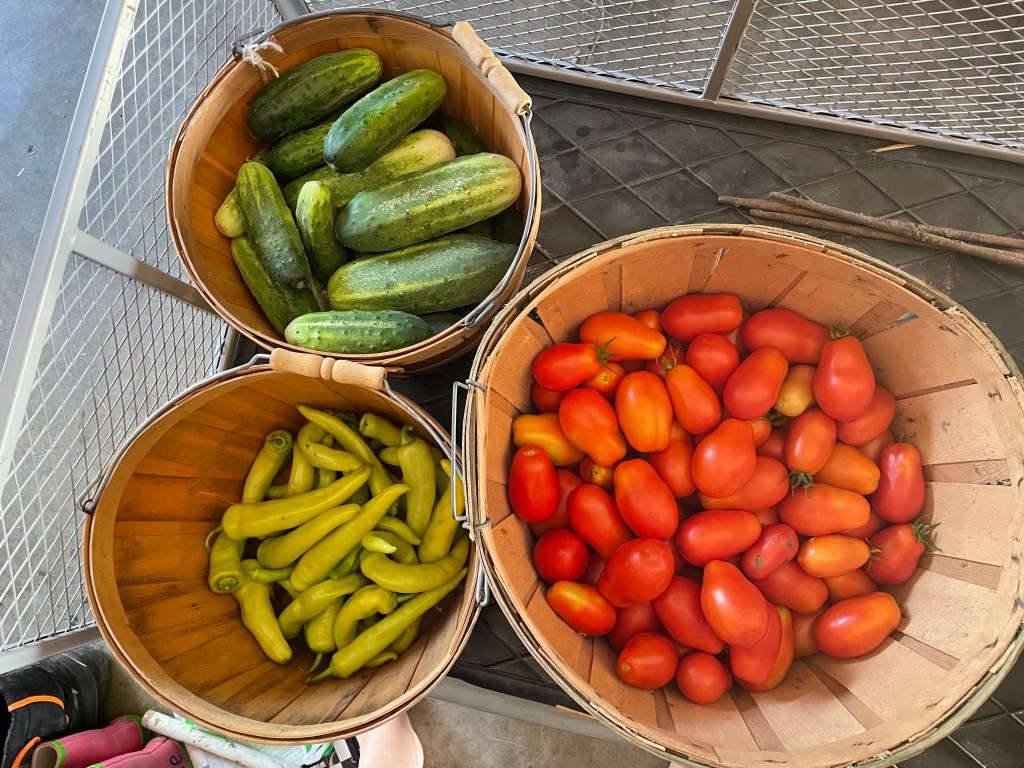 TODAY- August Edition