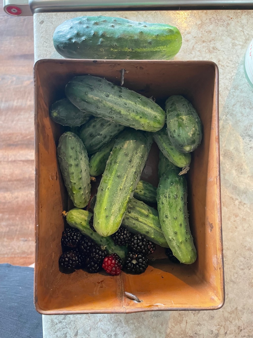 PRESERVING- Cucumbers