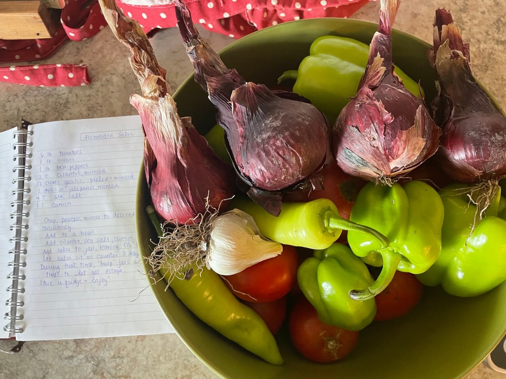 HOMEMADE- Fermented Salsa