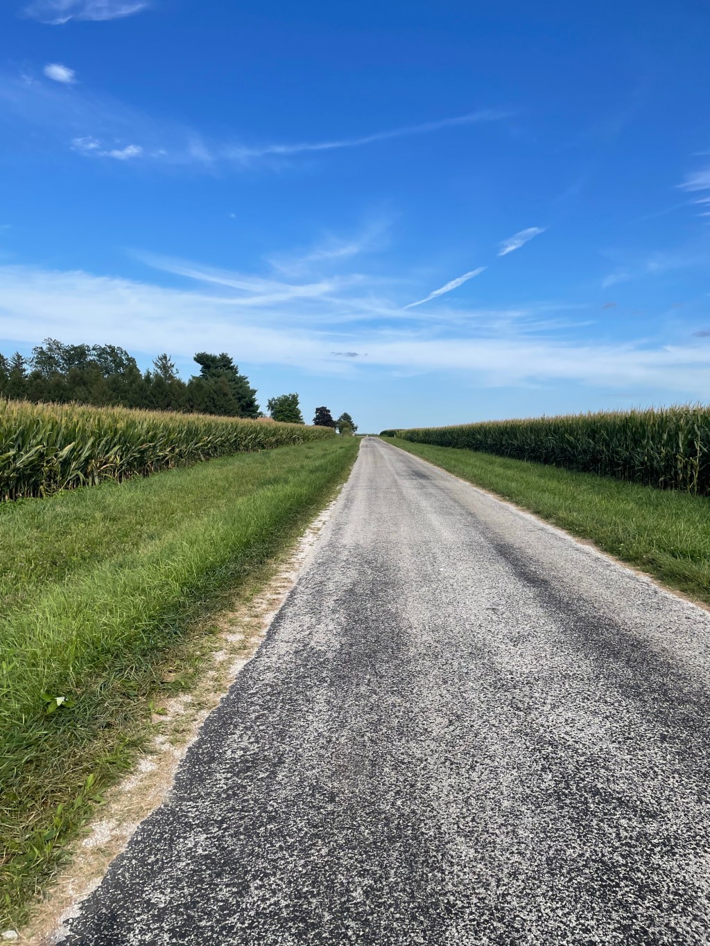 FARM ADDITION- Our&nbsp;Puppy