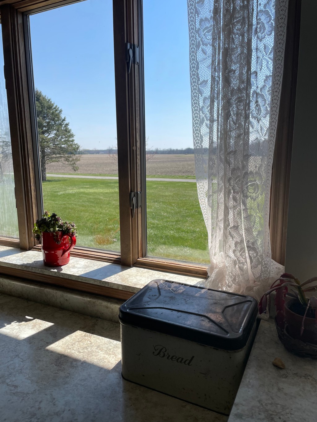 KITCHEN FAVORITES- What I need in a From-Scratch&nbsp;Kitchen