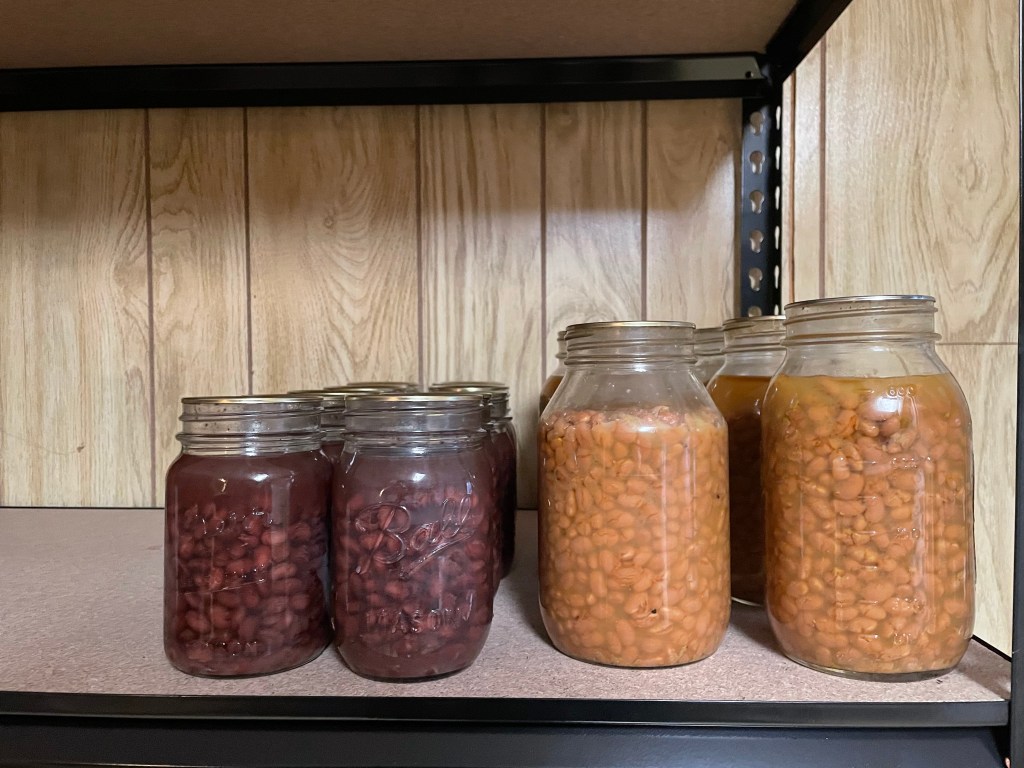 PRESERVING- Beans