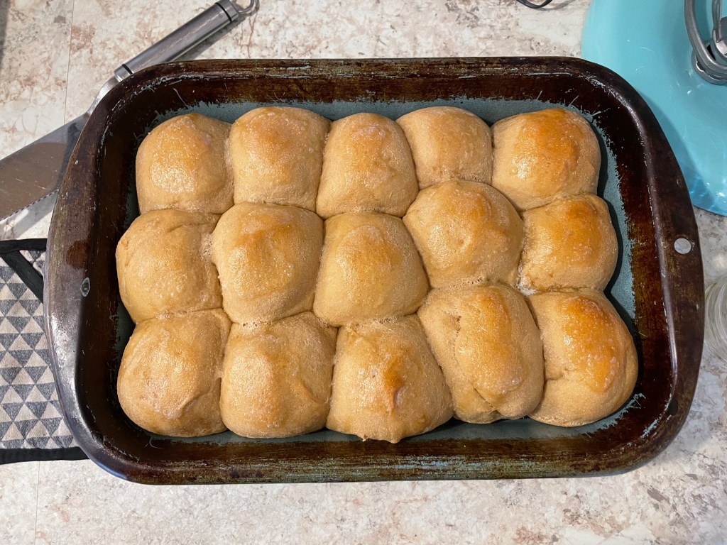 TODAY- November Edition