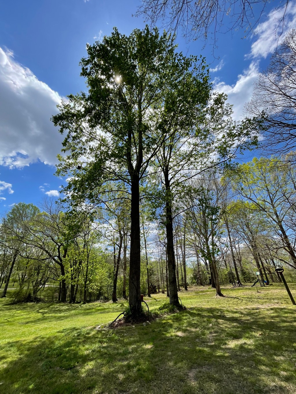 Beauty- In Conversation