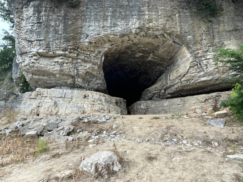 A Year in&nbsp;Review