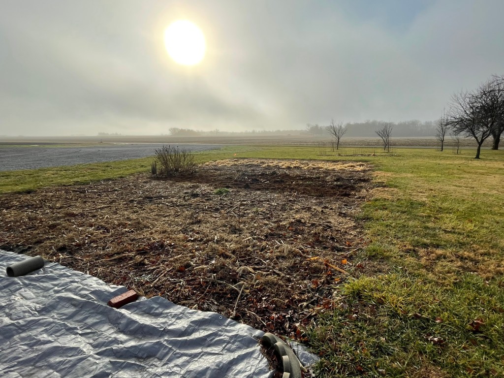 GARDEN UPDATE- early&nbsp;winter