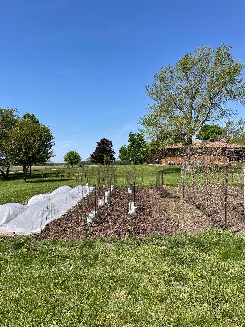 Spring Gardening 2025