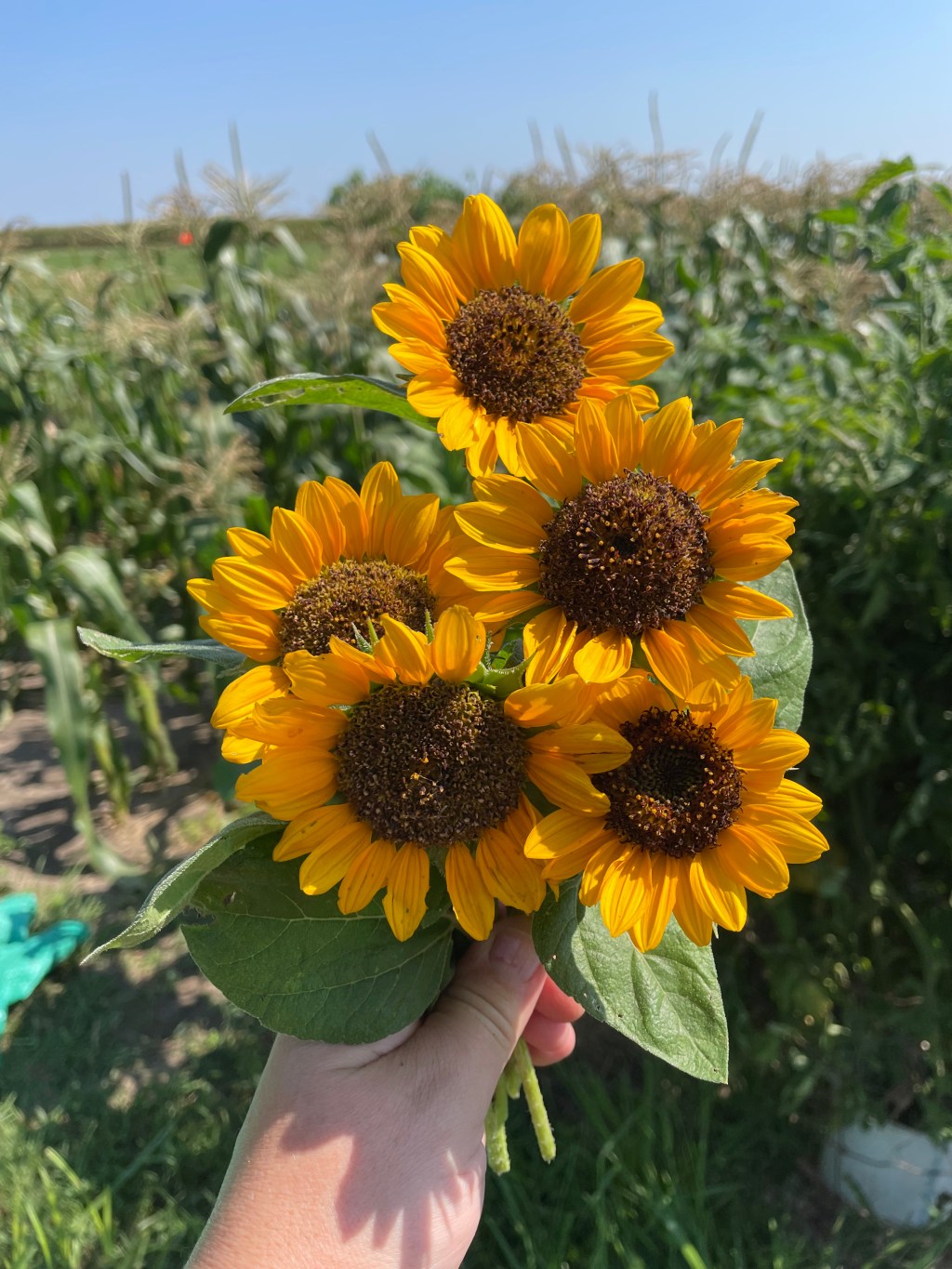 What Can I Do with 10&nbsp;Minutes?