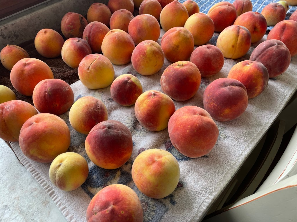 Summer Bounty: In&nbsp;Photos