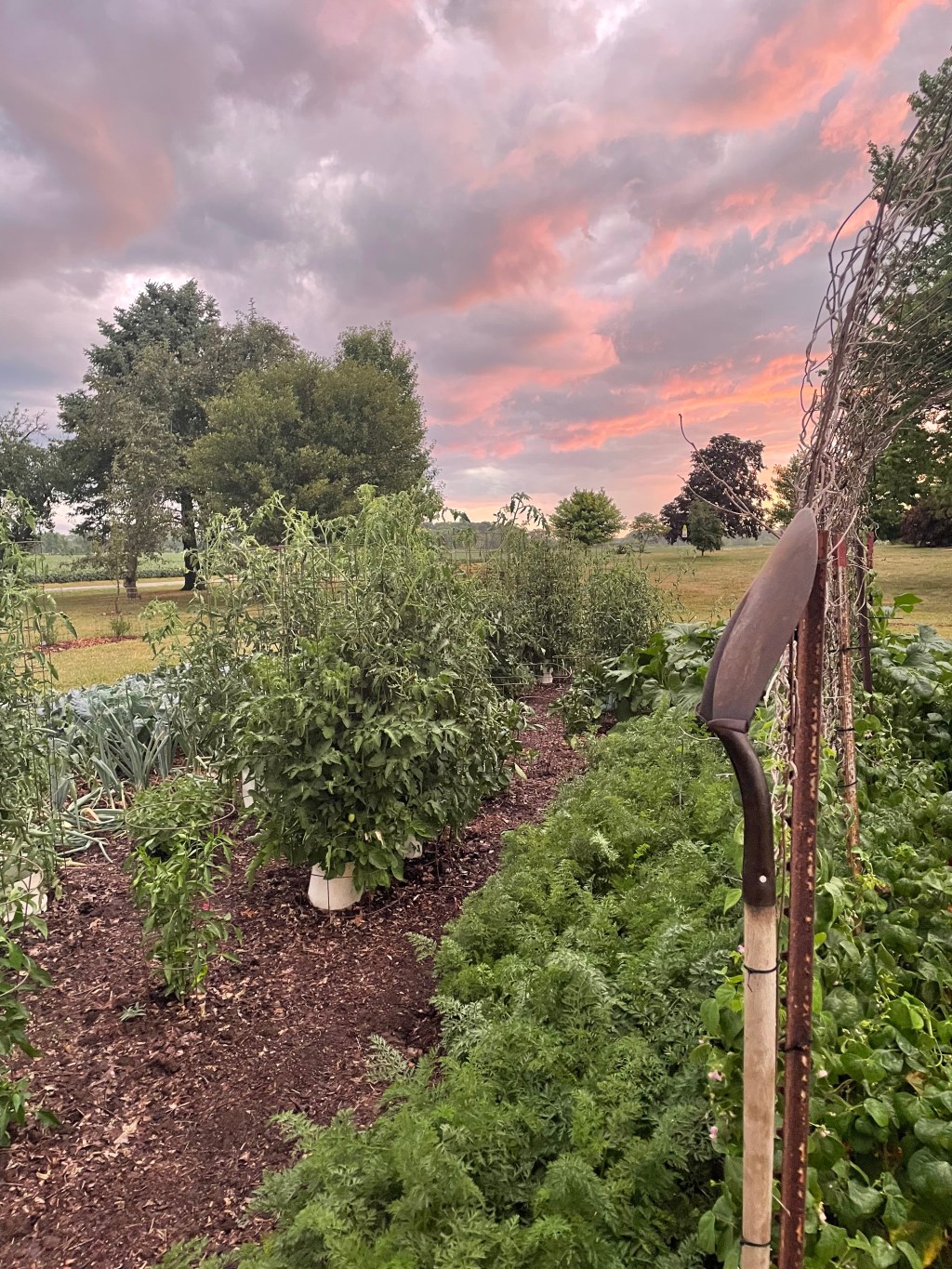 GARDEN: reality vs&nbsp;reality