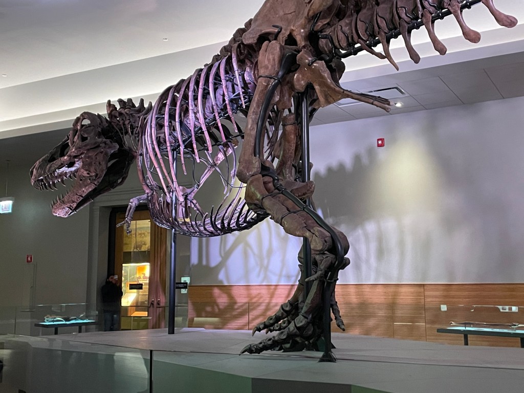 A Year in&nbsp;Review-2025